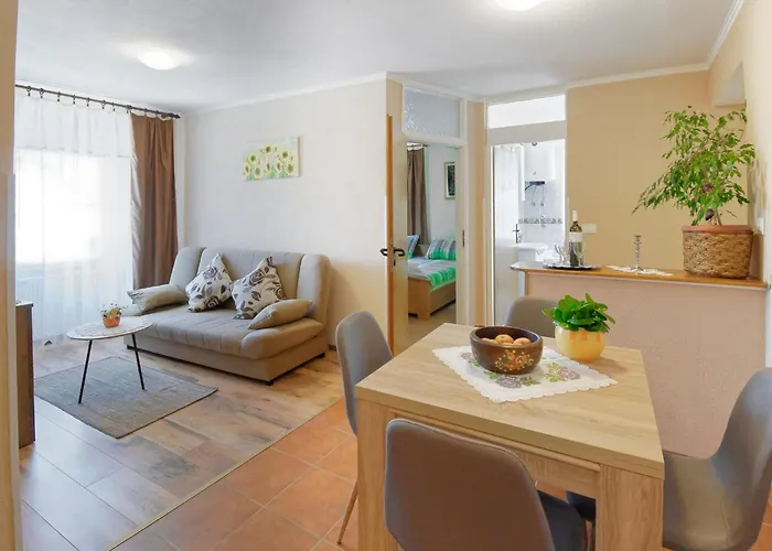 公寓 Viola By Rent Istria *